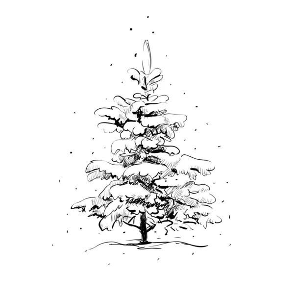 çam çizim ver. vektör çizim