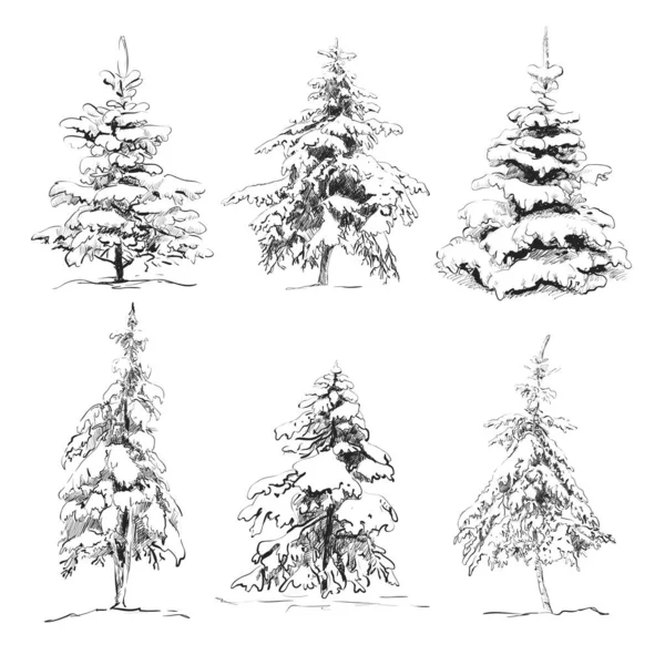 El çizimi çam seti. Vektör illüstrasyonu