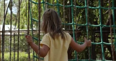 Little girl having fun time in the rope park. Summer camp activity for kids. Adventure park in the forest.