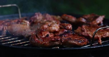 Izgarada ızgara et. Yemek pikniği konsepti. Boşluğu kopyala.