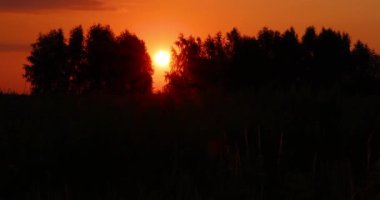 Dawn in nature near field. Rural landscape in morning.