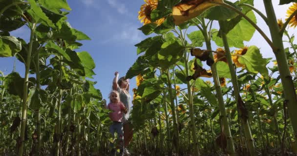 Mom Daughter Run Field Sunflowers Cheerful Happy Childhood — Vídeo de Stock