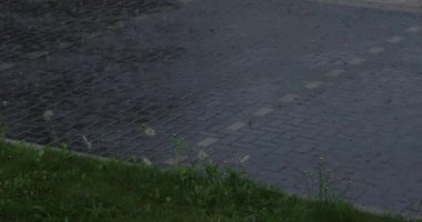 Heavy rain slow motion close up shot. Droplet of water and splash, drop of water falling to floor, beautiful surface texture of liquid nature.