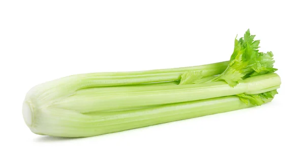 Fresh Celery Isolated White Background Cooking Ingredients — Foto de Stock