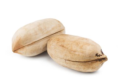 Ayrı fındıklar. Beyaz arkaplanda izole edilmiş olgun ceviz.