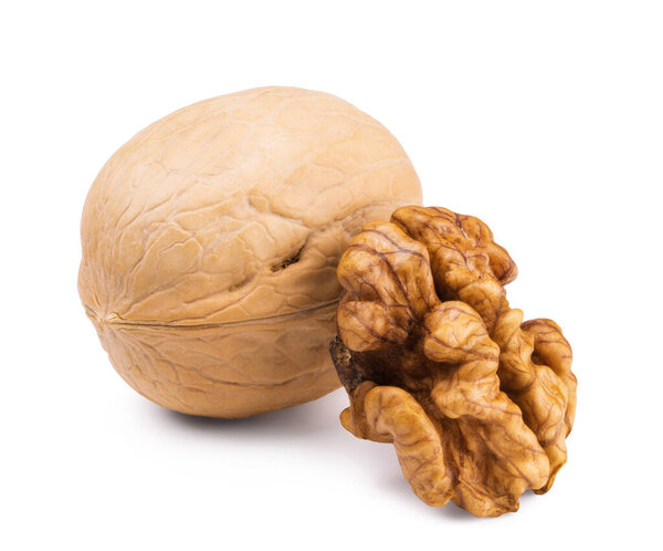 Ripe walnut and nut kernel isolated on white background.