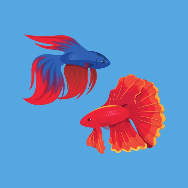 Red Blue Betta Fish Isolated Blue Background — ストックベクタ