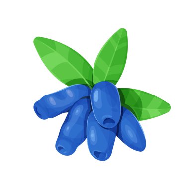 Honeysuckle with leaves isolated on a white background. Vector illustration