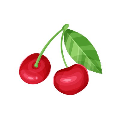 Cherry with leaves isolated on a white background. Vector illustration