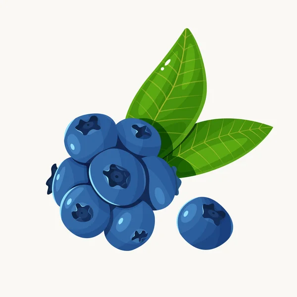 Blueberry with leaves isolated on a white background. Vector illustration