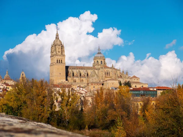 Paesaggio Urbano Salamanca Con Edificio Della Cattedrale Una Giornata Autunnale — Foto Stock