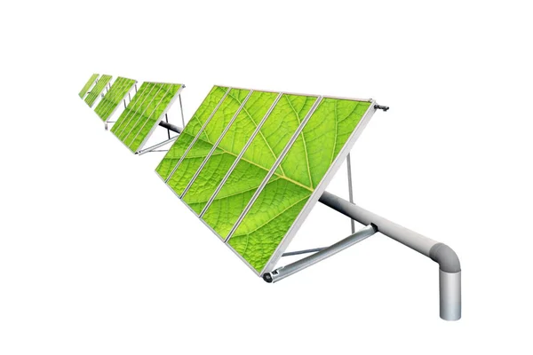 Solar Cell Panels Array Plant Leaves Surface Isolated White Green — Stockfoto