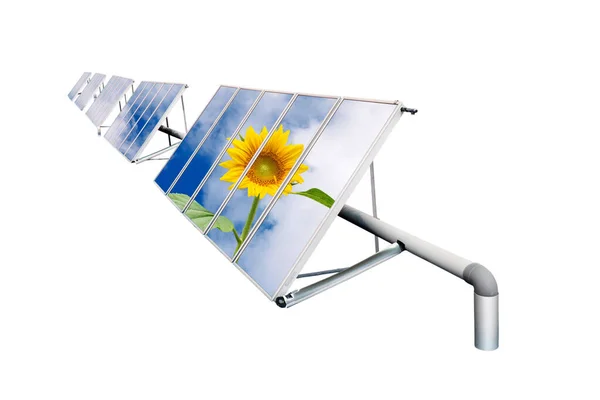 Solar Cell Panels Array Sky Sunflower Surface Isolated White Green — Stock Photo, Image