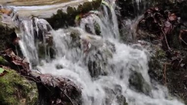 Bir derede küçük bir şelale. Akan kristal berrak su kayaların üzerinden atlıyor..