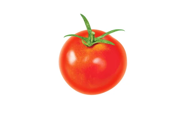 Único Tomate Vermelho Vegetal Inteiro Com Cauda Verde Isolado Branco — Fotografia de Stock
