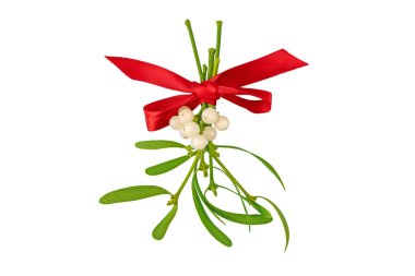 Beyaz böğürtlen ve kırmızı saten fiyonklu yeşil yapraklı ökseotu sürüsü. Noel süslemesi beyaza izole edilmiş.