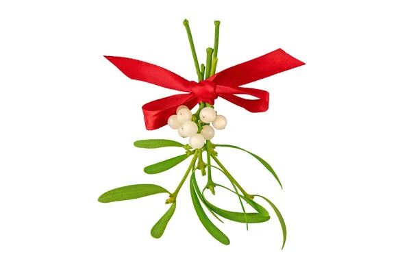 Mistletoe Bunch White Berries Green Leaves Tied Red Satin Bow — 스톡 사진