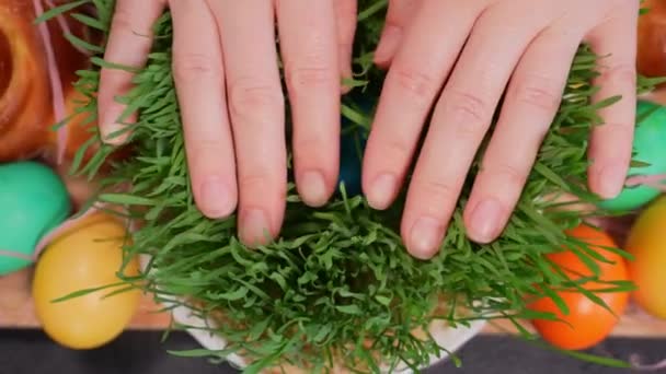Θηλυκά Χέρια Ανοίγουν Αργά Μικροπράσινο Στο Οποίο Βρίσκονται Πασχαλινά Αυγά — Αρχείο Βίντεο