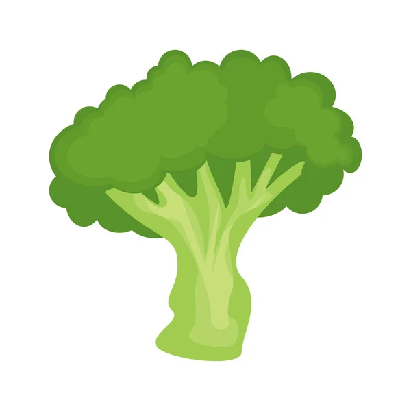 Brokkoli-Symbol. Vegetarismus und Bio-Vektorillustration Design isoliert — Stockvektor
