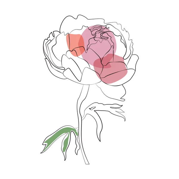Şakayık çizgisi ikonu suluboya çiçek. El çizimi botanik vektör çizimi tasarımı — Stok Vektör