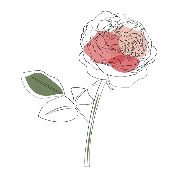 Ikona růžové čáry akvarel květiny. ručně kreslený botanický vektor ilustrace — Stockový vektor