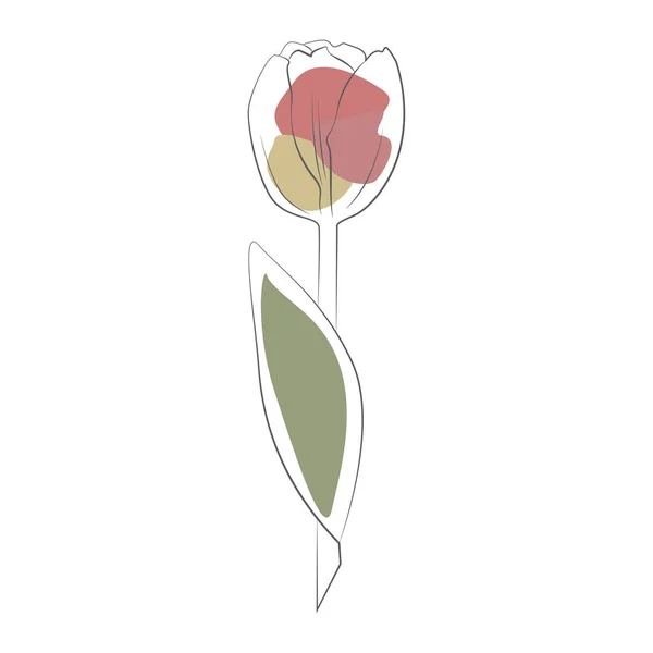 Lale çizgisi ikonu suluboya çiçek. el çizimi botanik illüstrasyonu — Stok Vektör