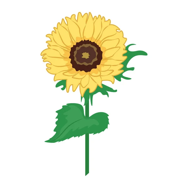 Ikona slunečnice, symbol Ukrajiny vektorové ilustrace — Stockový vektor