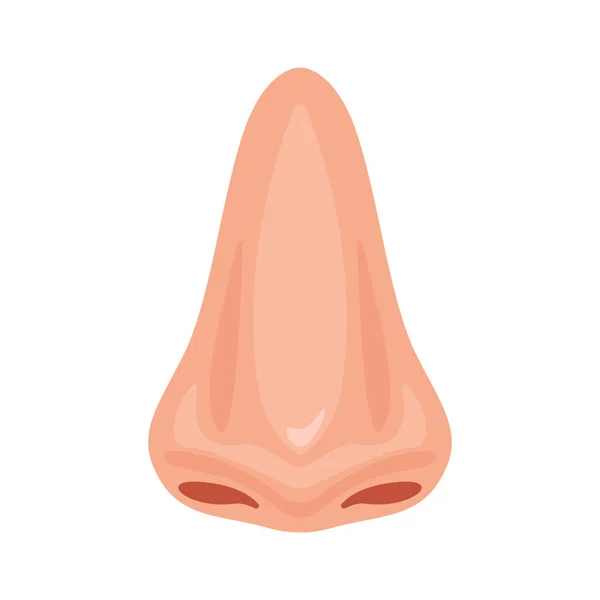 Naso umano icona nasale disegno vettoriale illustrazione — Vettoriale Stock