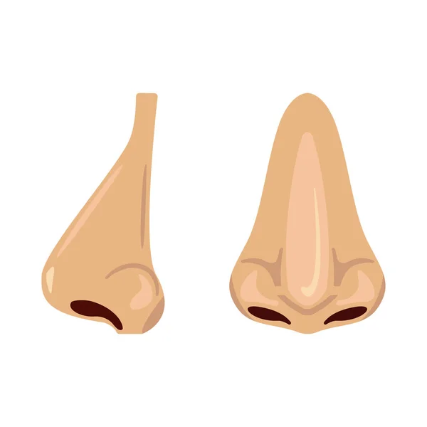 Human nose set ikon vektor desain ilustrasi terisolasi - Stok Vektor