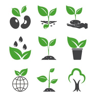 Leaf. Plant, sprout icon vector illustration design concept