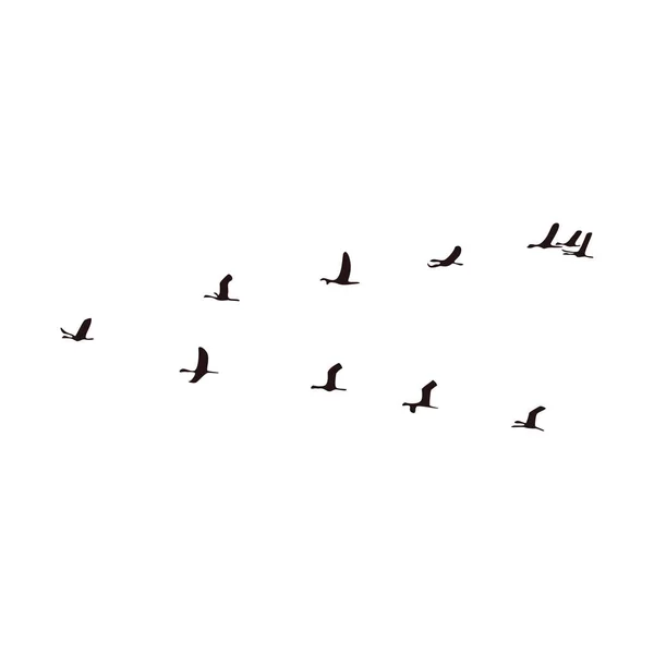 Troupeau Oiseaux Icône Volante Illustration Vectorielle Conception Concept Isolé — Image vectorielle