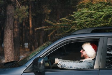 Arabada Noel Baba şapkası takan ve tepesinde köknar ağacı olan bir adam. Noel, kış tatili Kafkas erkek portresi