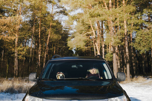 Woman Her Dog Wearing Funny Hats Sit Car Snowy Forest Stock Photo