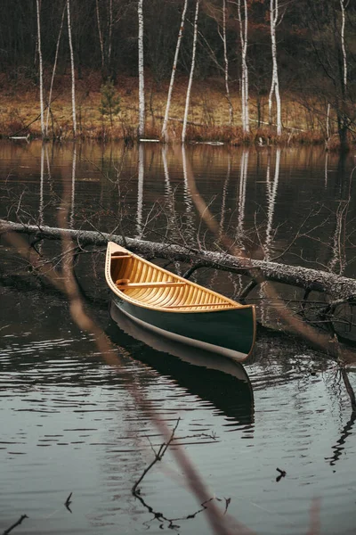 一条美丽的绿色独木舟漂浮在森林湖上 平静而平静的秋天场景 只有木船 没有人 — 图库照片