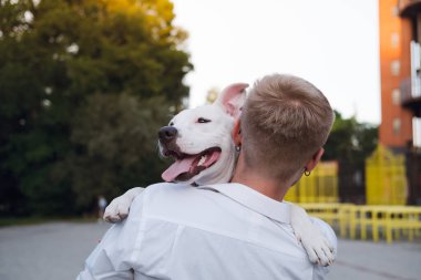 Köpek sahibi dışarıda genç köpeğini kucaklıyor. Beyaz bir staffordshire teriyeriyle etkileşim halinde olan bir adam. Mutluluk, neşe ve evcil hayvanlarla pozitif duygular.