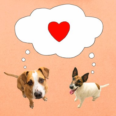 Konuşma balonu ve aşk işareti olan kırmızı desenli arka planda kameraya bakan iki komik köpek. Aşık evcil hayvanların dijital kolajı, sevgililer günü konsepti, karşılıklı hayranlık ve sevgi duyguları.