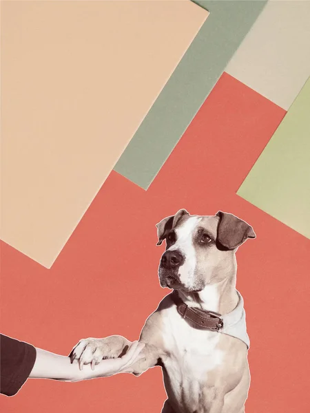 Trust of dog to human, digital collage. Cute staffordshire terrier gives paw to a person, paper texture background, faded retro colours