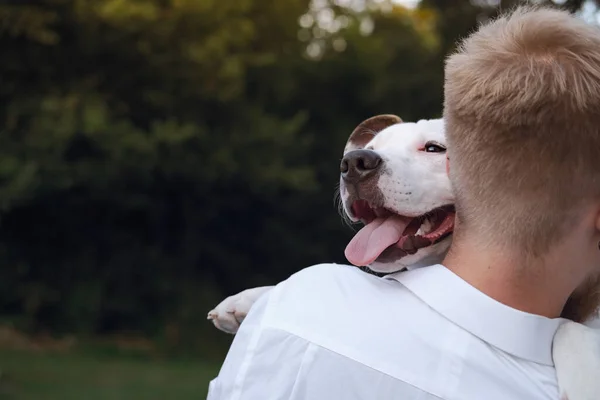 Dono Cão Abraça Seu Jovem Cão Livre Homem Interagindo Com — Fotografia de Stock