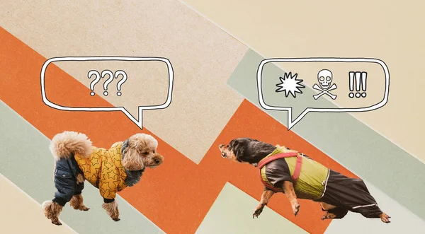Aggressive, reactive dog on the leash confronting other dog against isolated background with speech bubble. Funny dachshund with comics style symbols of negative emotions, problems with pet behaviour, digital collage