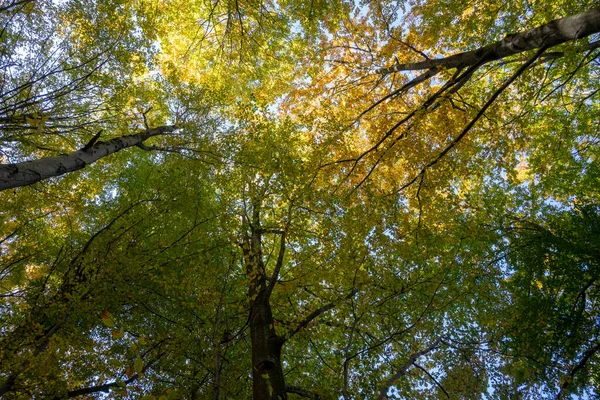 Herbst Bieszczady Gebirge — Stockfoto