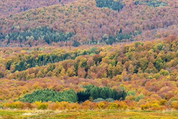 Bieszczady山脈の秋 — ストック写真