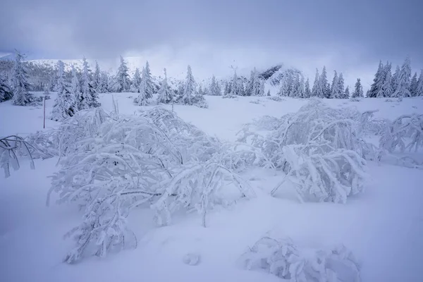 Зимовий Пейзаж Гір Татра Подорож Долини Гасенікова — стокове фото