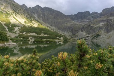 Kara Göl Gasienicowy Polonya Tatra Dağları 'nda temiz bir göl..