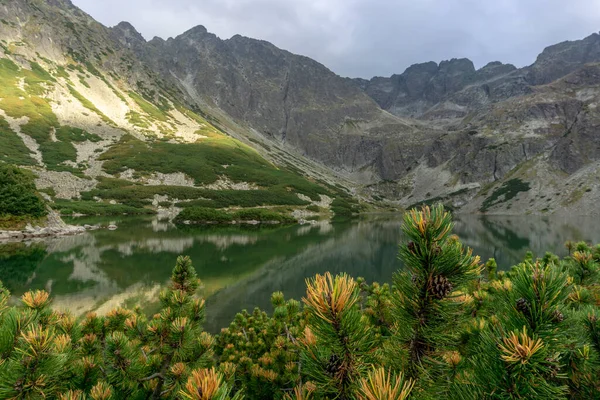 Lago Negro Gasienicowy Belo Lago Limpo Nas Montanhas Polonesas Tatra — Fotografia de Stock