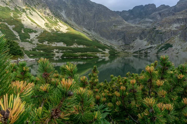 Černý Rybník Gasienicowy Krásné Čisté Jezero Polských Tatrách — Stock fotografie