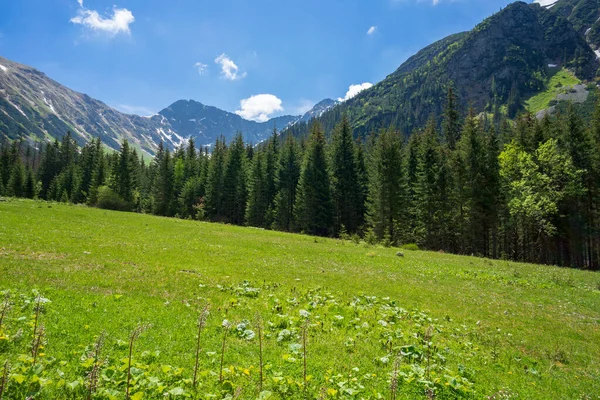 Tatras Occidentales Eslovacos Zona Del Valle Rohacska — Foto de Stock