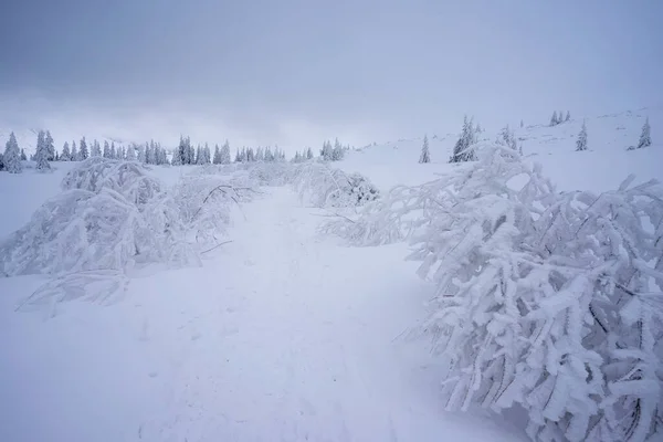 Снежный Зимний Горный Пейзаж Западных Татрах — стоковое фото