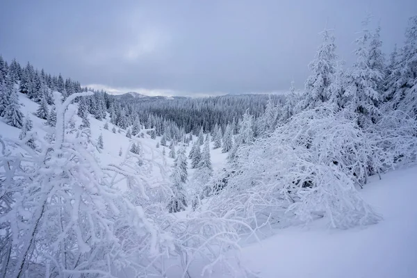 Снежный Зимний Горный Пейзаж Западных Татрах — стоковое фото