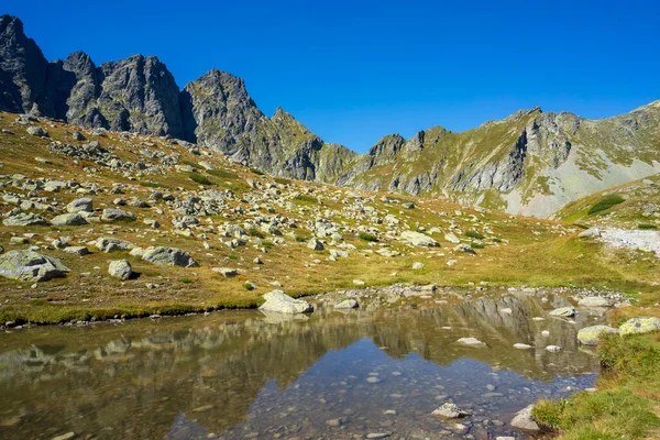 Dolina Hincova Słowackich Tatrach Wysokich — Zdjęcie stockowe