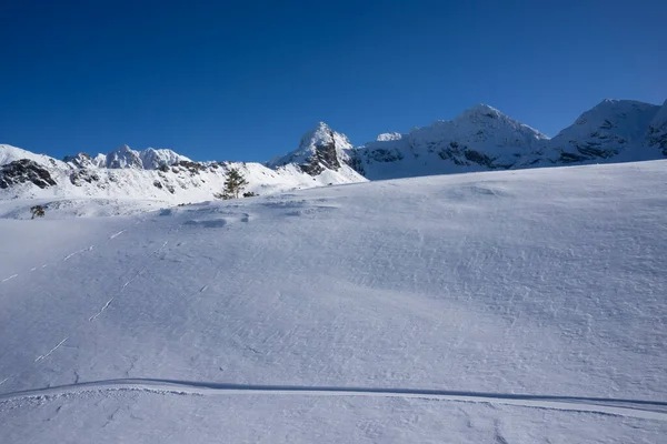 Nevado Paisaje Montañoso Invernal Las Montañas Tatra —  Fotos de Stock